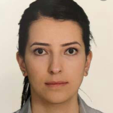 Seda KAYAPALI YILDIRIM