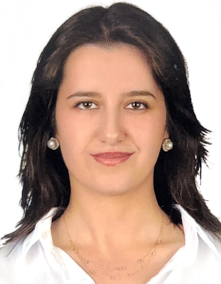 Hatice Şebnem DERVİŞOĞLU