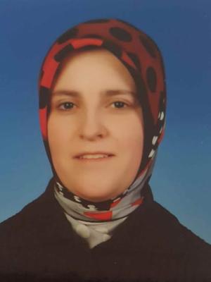 Semin GEDİKLİ