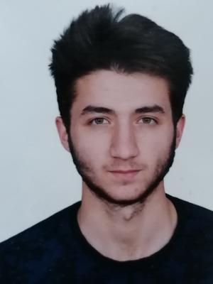 Ahmet ARZIK