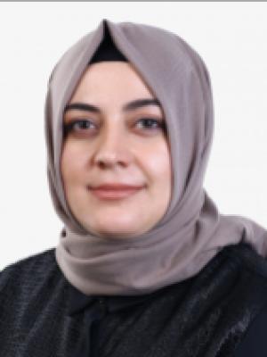 Sinem ÇİLLİGÖL KARABEY