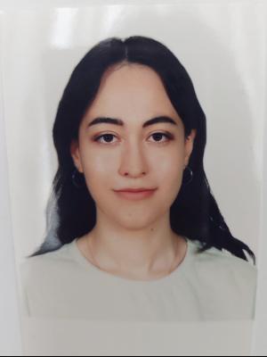 Yağmur İNCİ