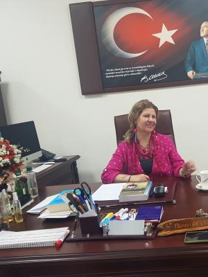 Prof.Dr. Nesrin FEYZİOĞLU