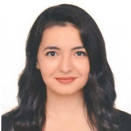 Züleyha ASLAN ERGENEKON