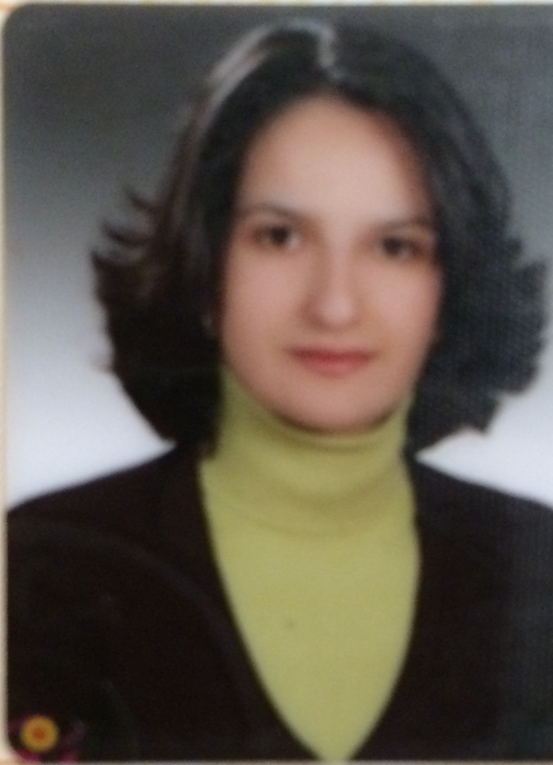 Yasemin DEMİR