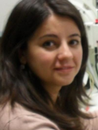 Demet İSKENDEROĞLU